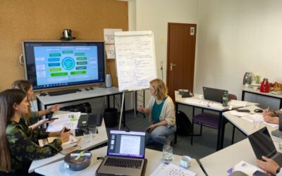 Second U.Pin Project Management Meeting in Stuttgart